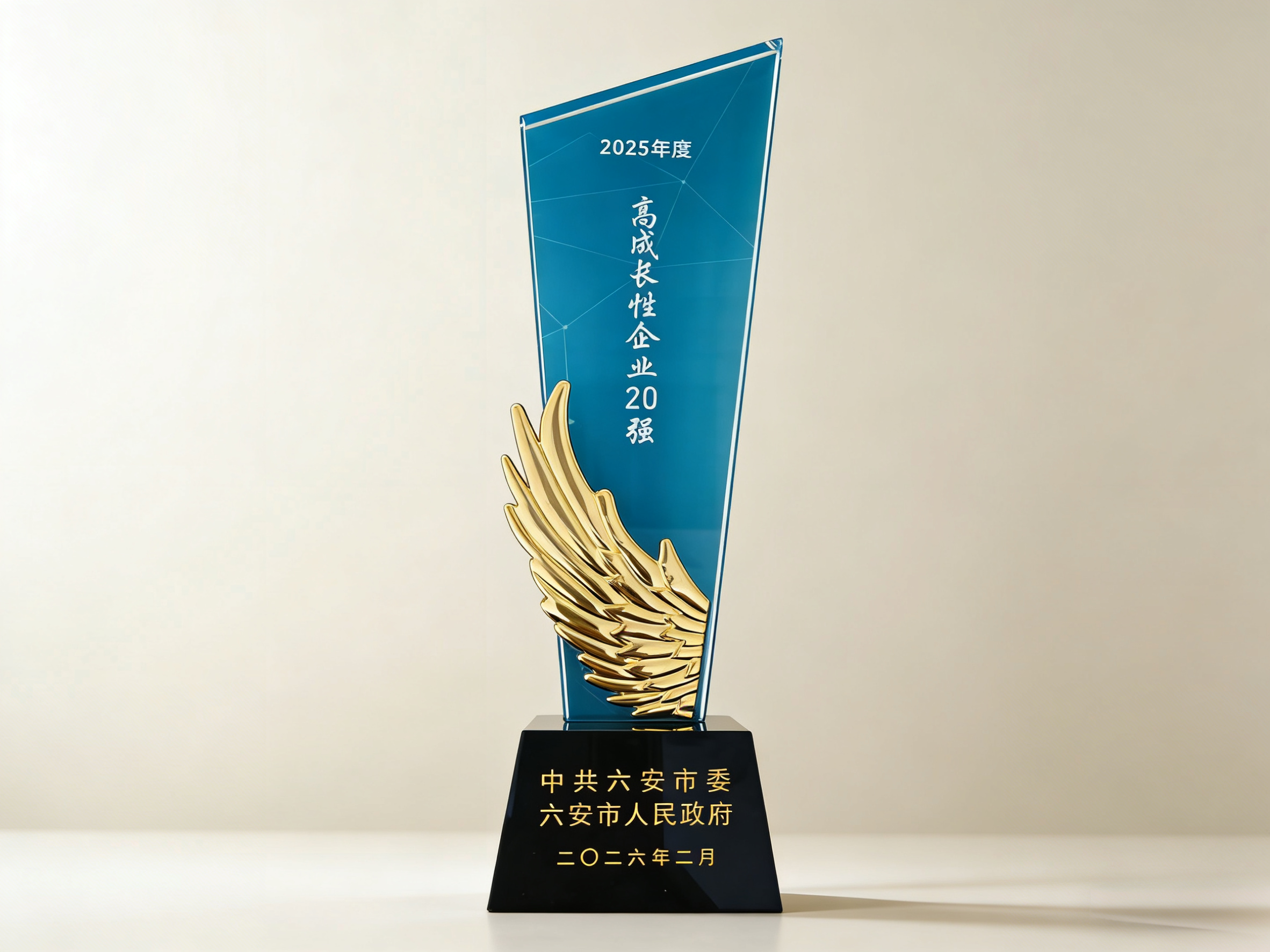 六安鑄造獲”2025年度高成長性企業(yè)20強“榮譽.png